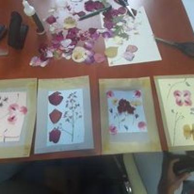 Nyari Kreativ 2
