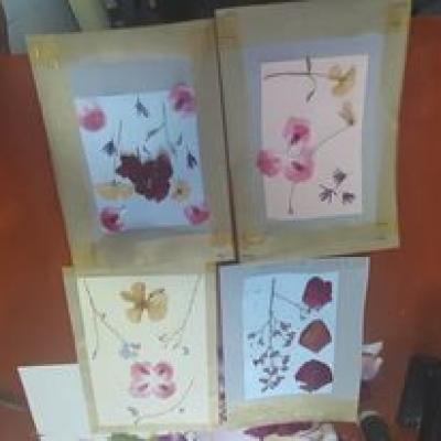 Nyari Kreativ1